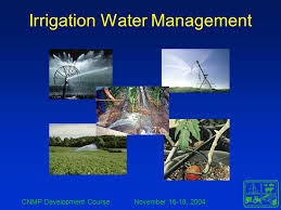 Water Resources and Irrigation Management 